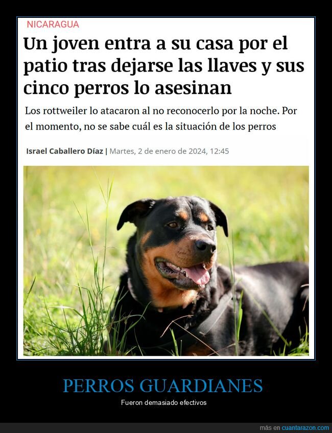 perros,matar,casa