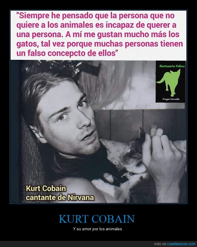 kurt cobain,animales