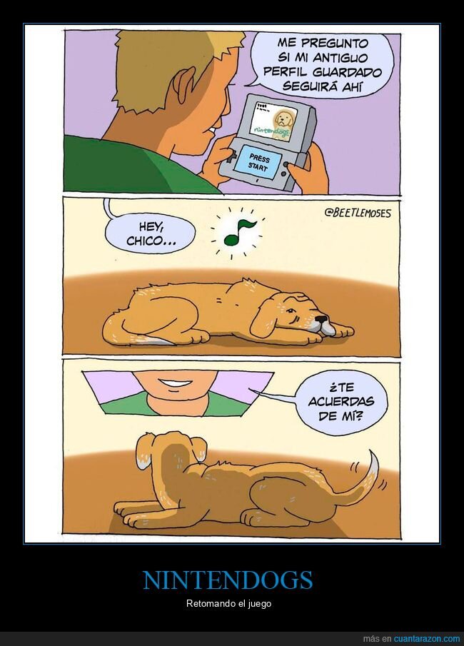 nintendogs,perfil,perro