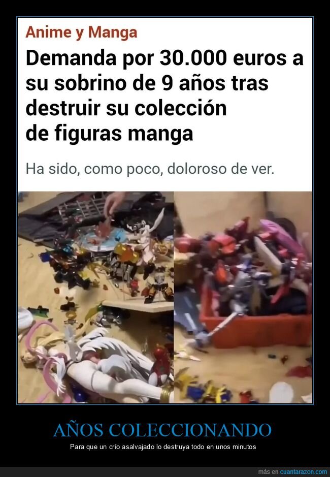 demanda,sobrino,destruir,colección,manga