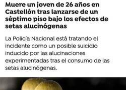 Enlace a Su último viaje