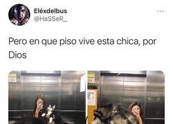 Enlace a Una subida eterna