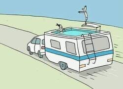 Enlace a ¿Correcto o incorrecto?