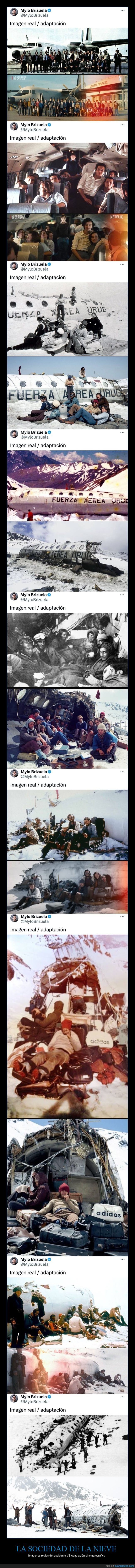 la sociedad de la nieve,cine