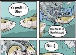 Enlace a Ese no es su Uber...