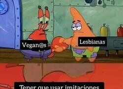 Enlace a Imitaciones de carne usadas de distinta forma