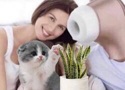 Enlace a Las familias del futuro