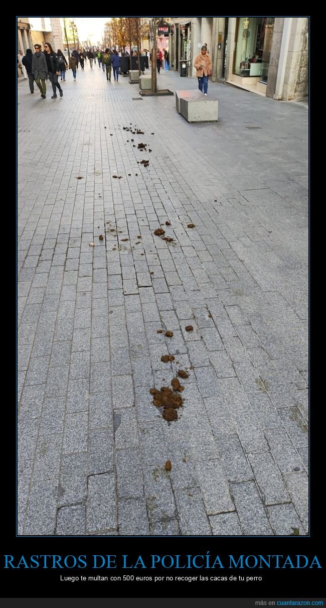 policía montada,cacas,caballos