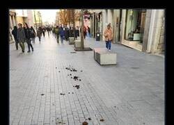 Enlace a A estos no les multan...