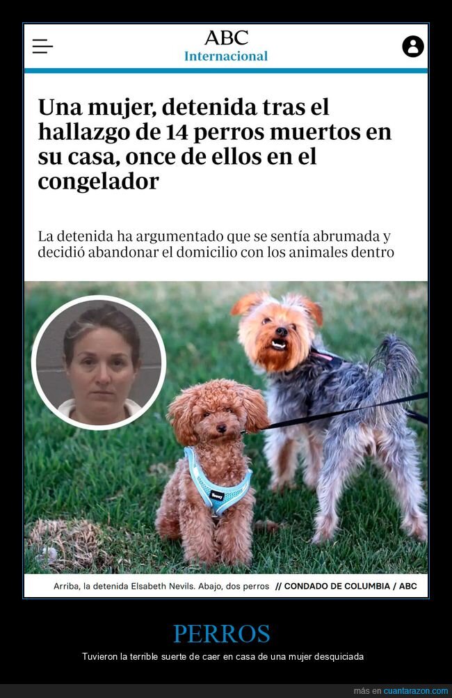 perros,muertos,congelador,wtf