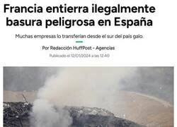 Enlace a Los franceses nos están usando de vertedero