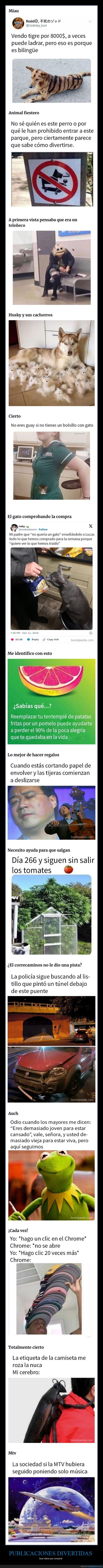 publicaciones divertidas,compartir