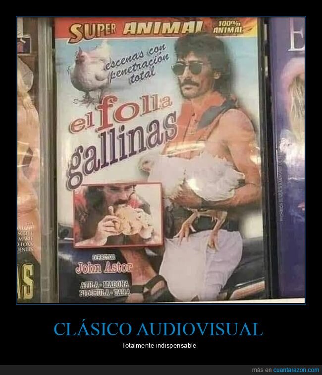 gallinas,películas,wtf