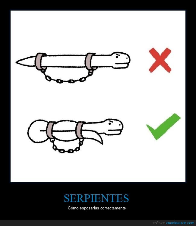 serpiente,esposar