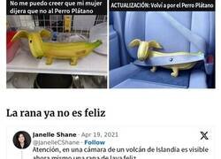 Enlace a Capturas de pantalla de gente viviendo un «arco de personaje» en la vida real