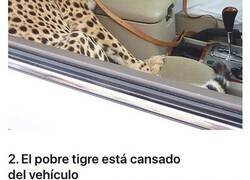 Enlace a Increíbles Fotos de Dubai y la lujosa y extravagante vida que llevan los millonarios en esta ciudad