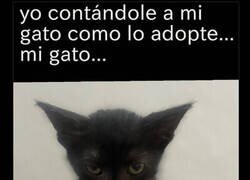 Enlace a Él no lo considera adopción...