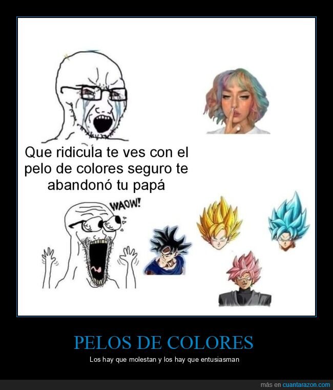 pelo de colores,dragon ball