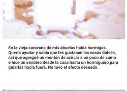Enlace a Conceptos básicos que causaron divertidos malentendidos en las mentes infantiles