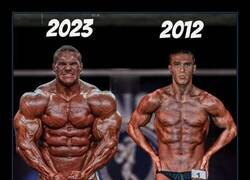 Enlace a El progreso de 11 años