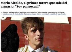 Enlace a Torero y pansexual