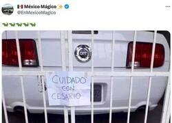 Enlace a El guardián de la casa