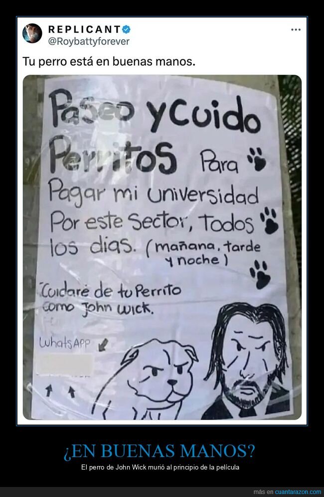 carteles,cuidar,john wick,pasear,perros
