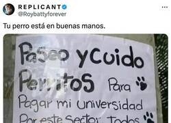 Enlace a Este no vio la película...