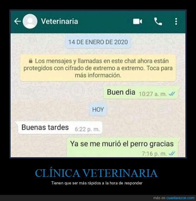 muerto,perros,veterinaria,whatsapp