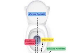 Enlace a El significado de cada meada según donde apuntes