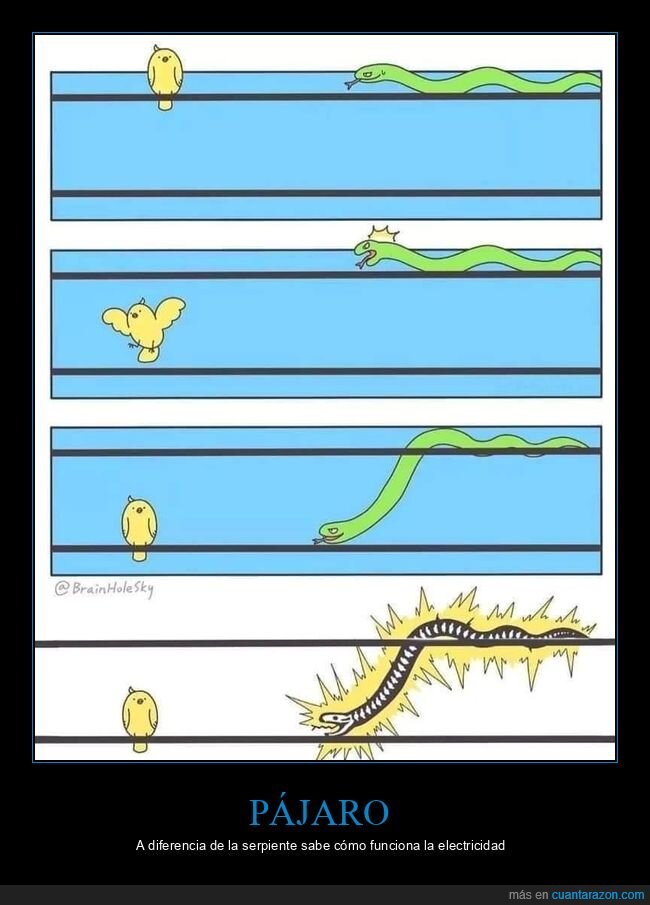 pájaro,serpiente,electricidad