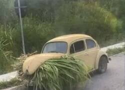 Enlace a Tenía que llegar...