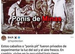 Enlace a Los ponis de minas, los animales que más sufrieron en la historia 