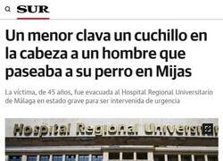 Enlace a Lo típico que te puede pasar mientras paseas al perro...