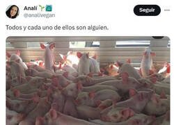 Enlace a Creo que ese spoiler no le habrá hecho demasiada gracia...