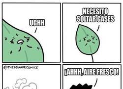 Enlace a Cosas de la fotosíntesis...