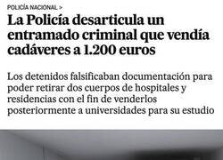 Enlace a Negocio turbio