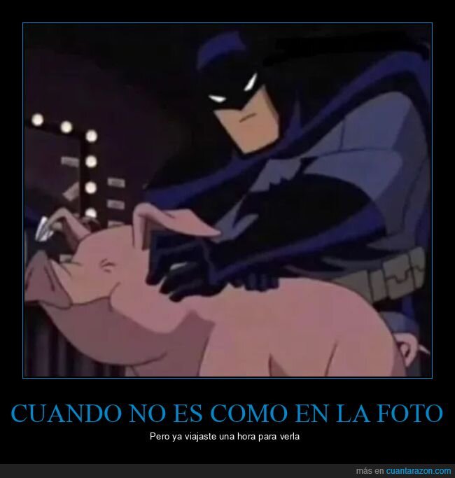batman,cerdo