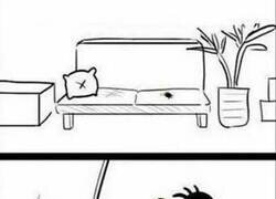 Enlace a Esto lo explica todo...