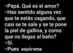 Enlace a Sabiduría paterna