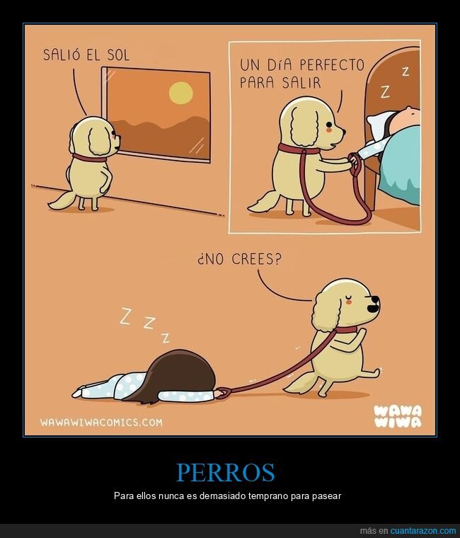 perro,sol,salir