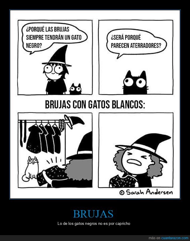brujas,gatos,negros,ropa,pelos