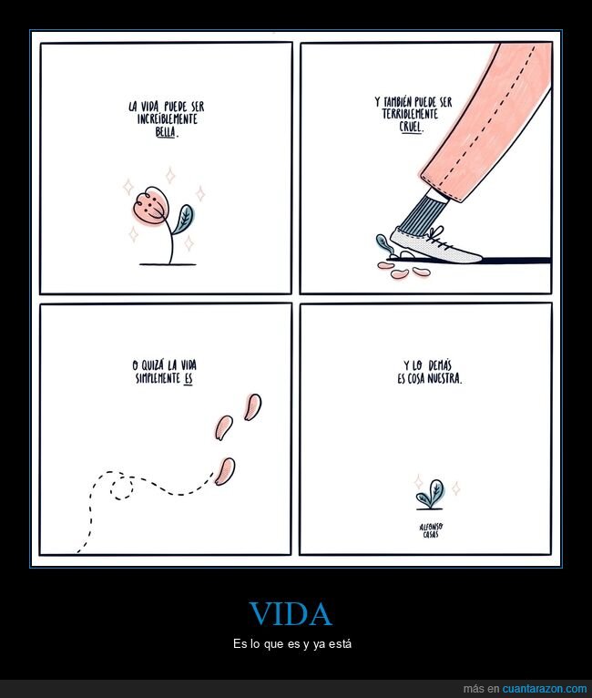 vida,bella,cruel