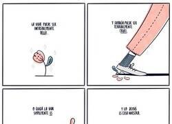 Enlace a Cosas de la vida