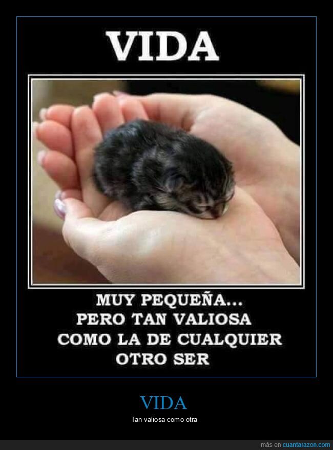 vida,valiosa