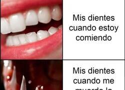 Enlace a Mordidas accidentales