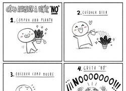 Enlace a Aprendiendo a decir 