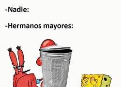 Enlace a Típico de hermano mayor