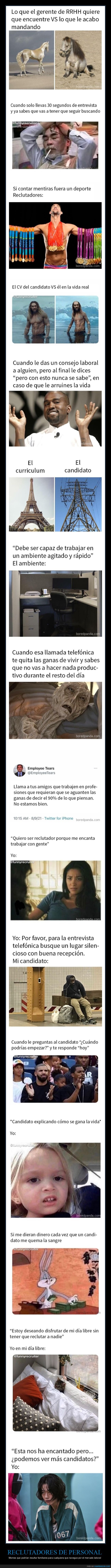 reclutadores de personal,trabajo,memes