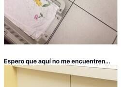 Enlace a Divertidos gatos descubriendo que les llevaban al veterinario